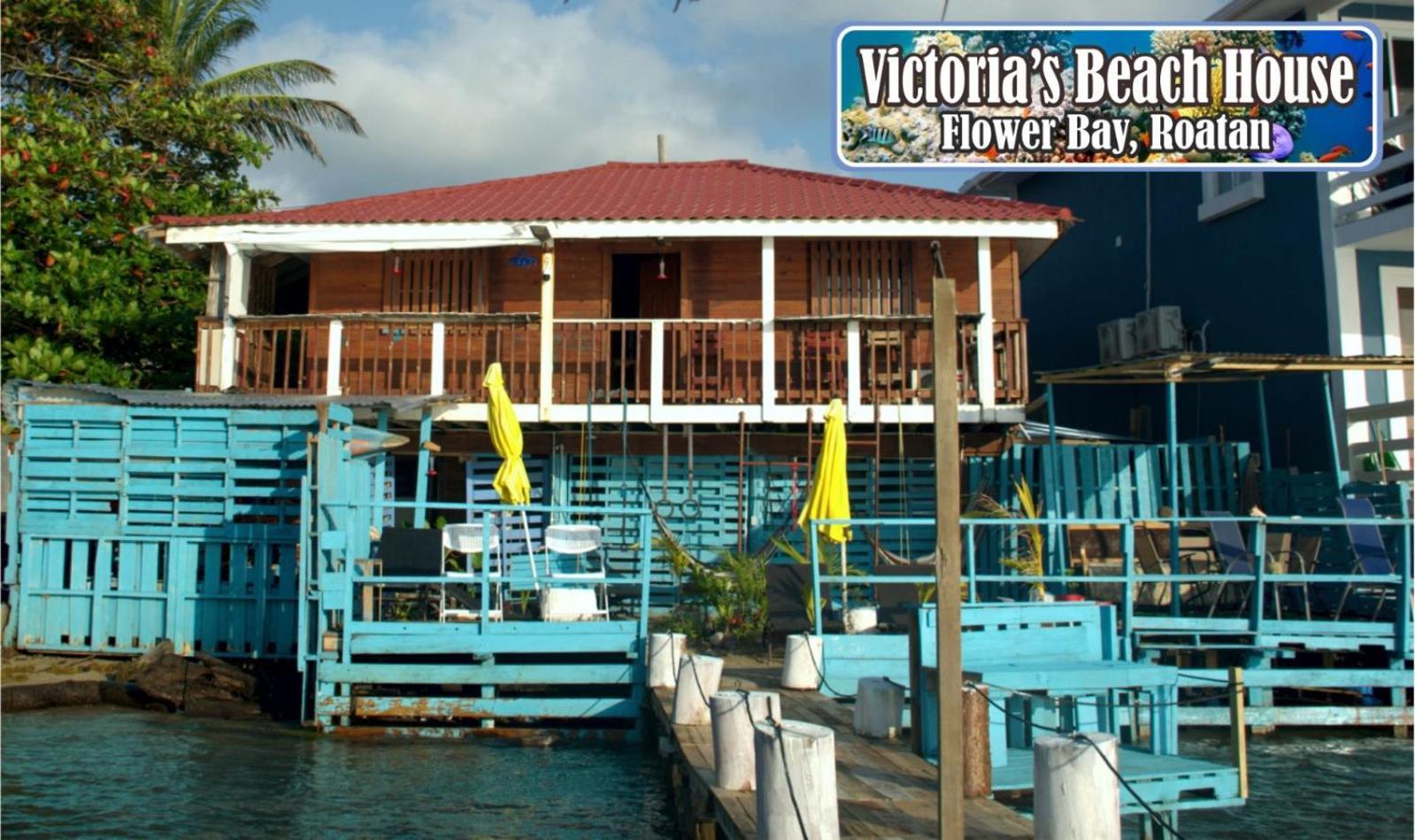 Victoria S Beach House And Snorkeling Center Flowers Bay Экстерьер фото